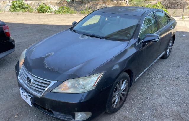 Photo 1 VIN: JTHBK1EG7B2472121 - LEXUS ES 350 