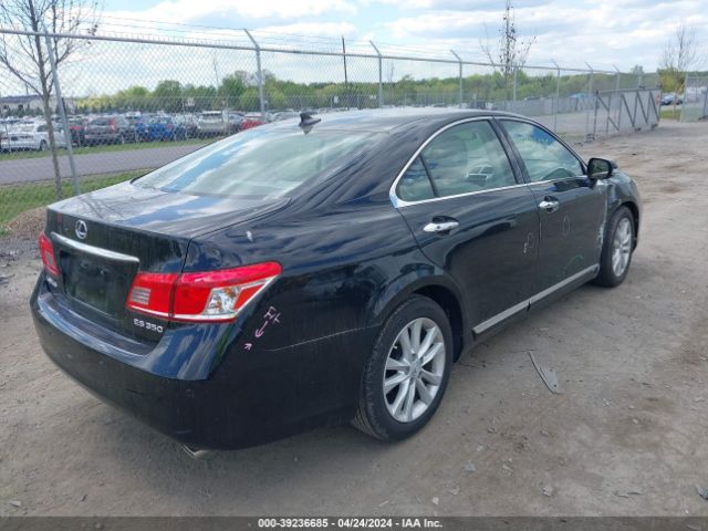 Photo 3 VIN: JTHBK1EG8A2410273 - LEXUS ES 350 