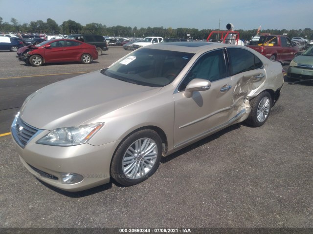 Photo 1 VIN: JTHBK1EG8B2431755 - LEXUS ES 350 