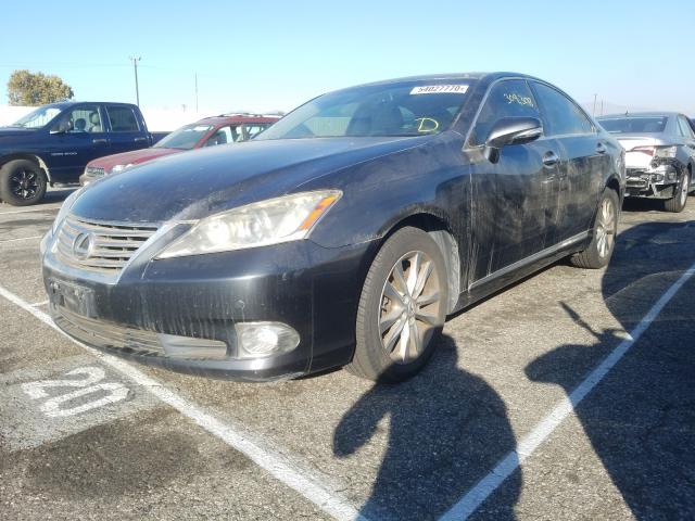 Photo 1 VIN: JTHBK1EG9A2375145 - LEXUS ES 350 