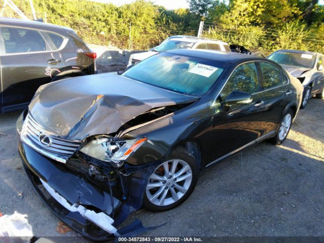 Photo 1 VIN: JTHBK1EG9A2386288 - LEXUS ES 350 