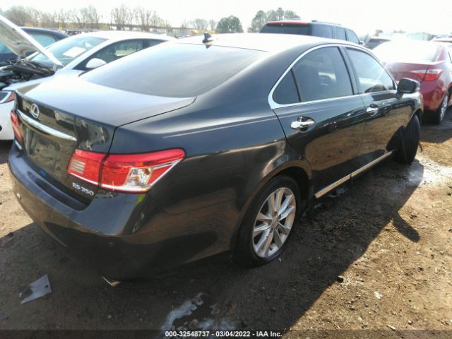 Photo 3 VIN: JTHBK1EG9A2413389 - LEXUS ES 350 