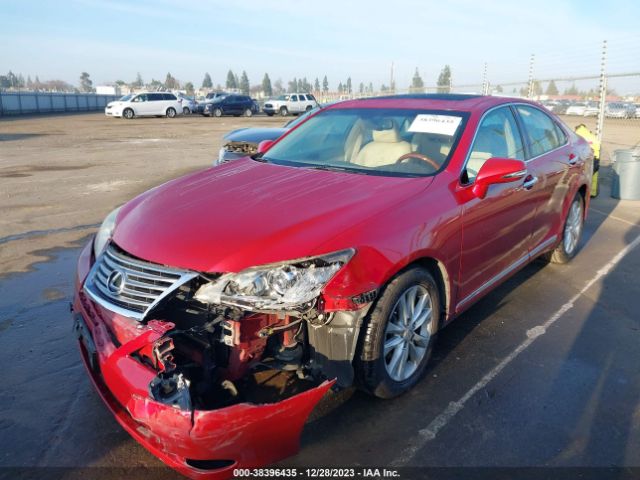 Photo 1 VIN: JTHBK1EG9B2425611 - LEXUS ES 350 