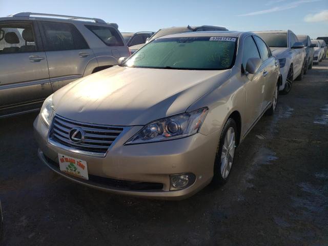 Photo 1 VIN: JTHBK1EG9C2502513 - LEXUS ES 350 