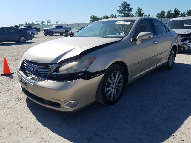 Photo 1 VIN: JTHBK1EG9C2505654 - LEXUS ES 350 