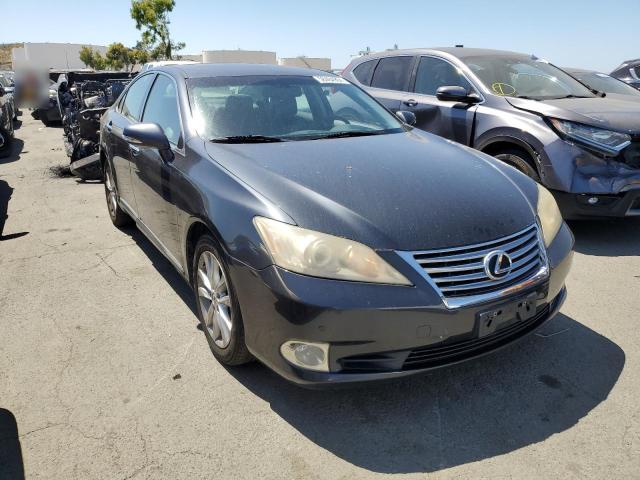 Photo 3 VIN: JTHBK1EGXA2358029 - LEXUS ES350 