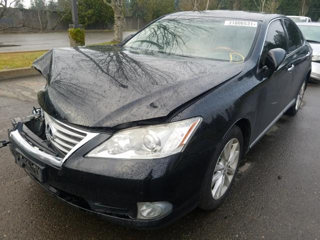 Photo 1 VIN: JTHBK1EGXB2435225 - LEXUS ES 350 