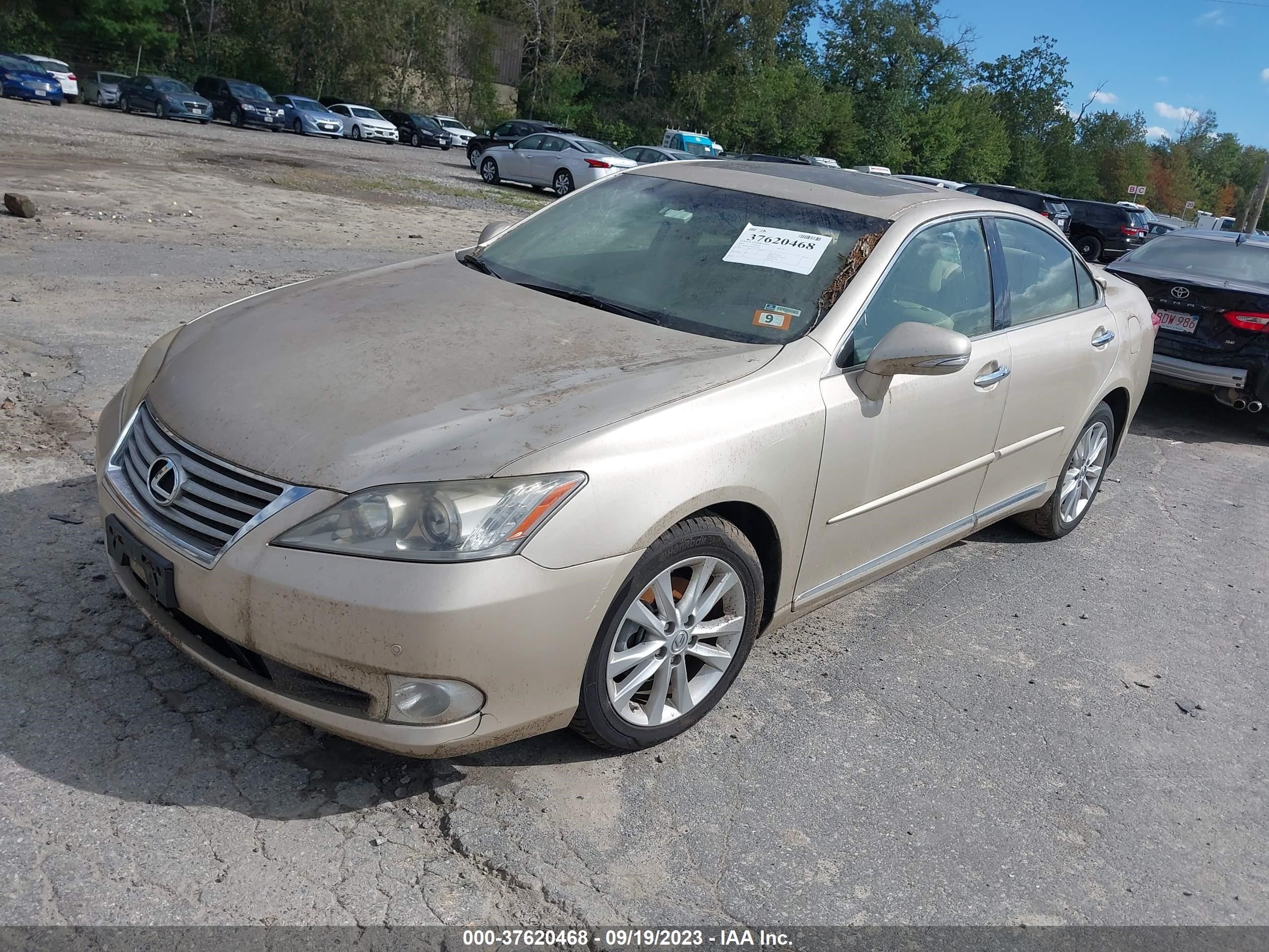 Photo 1 VIN: JTHBK1EGXB2435435 - LEXUS ES 