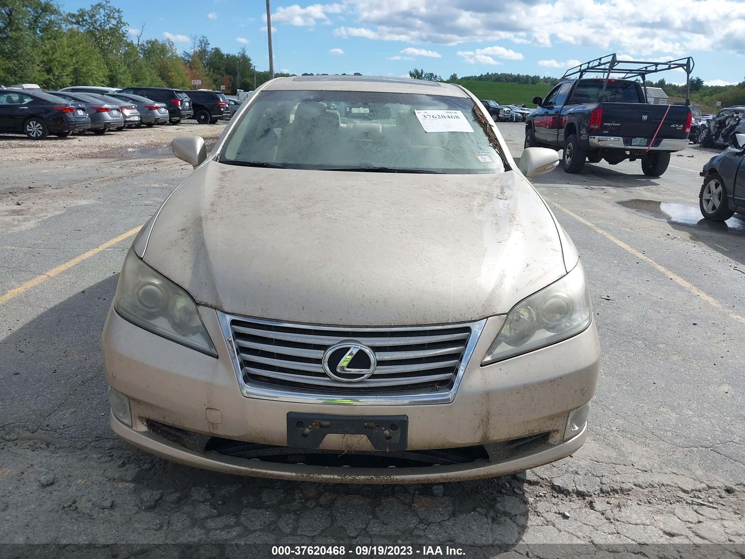 Photo 11 VIN: JTHBK1EGXB2435435 - LEXUS ES 