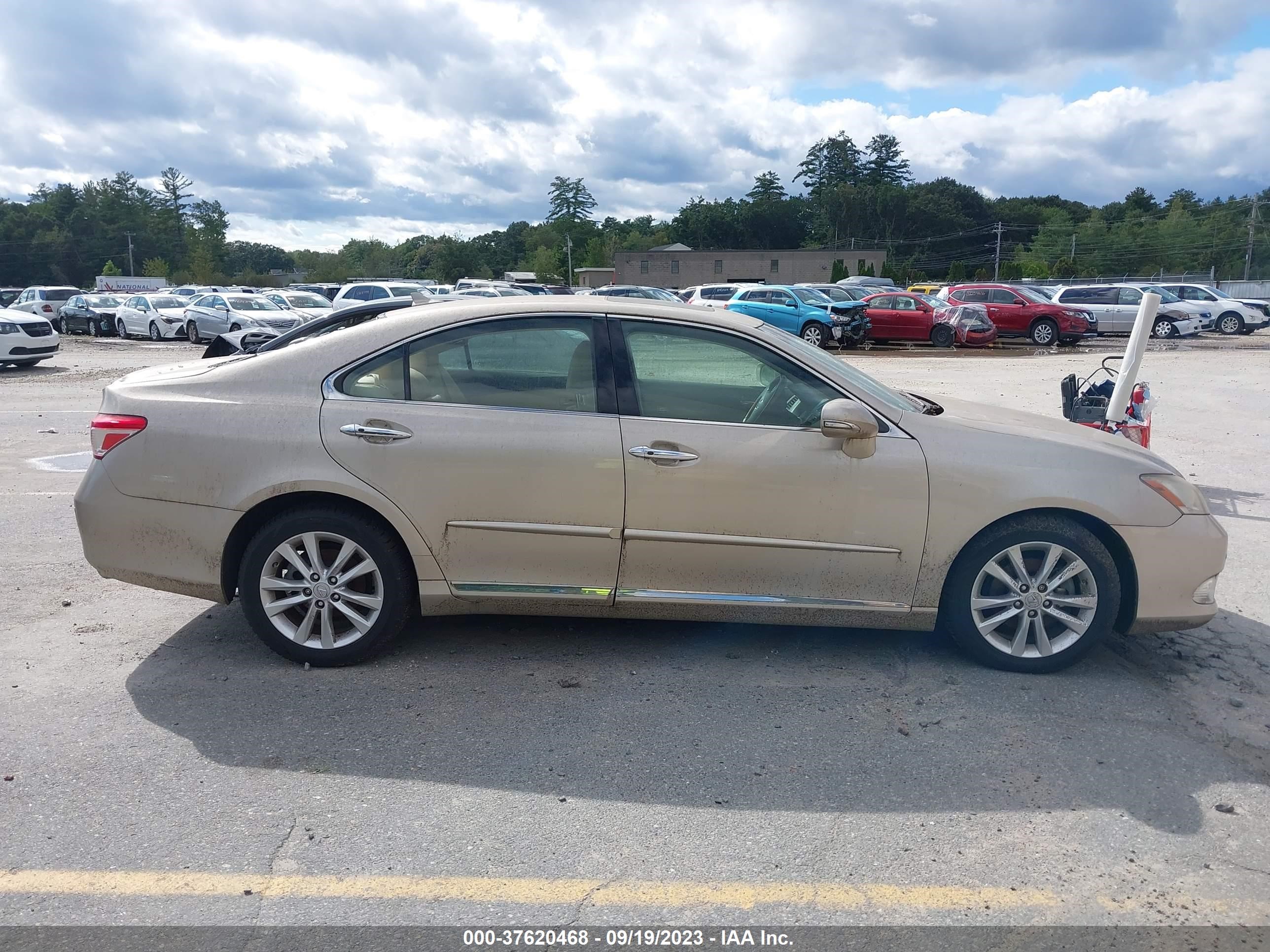 Photo 12 VIN: JTHBK1EGXB2435435 - LEXUS ES 