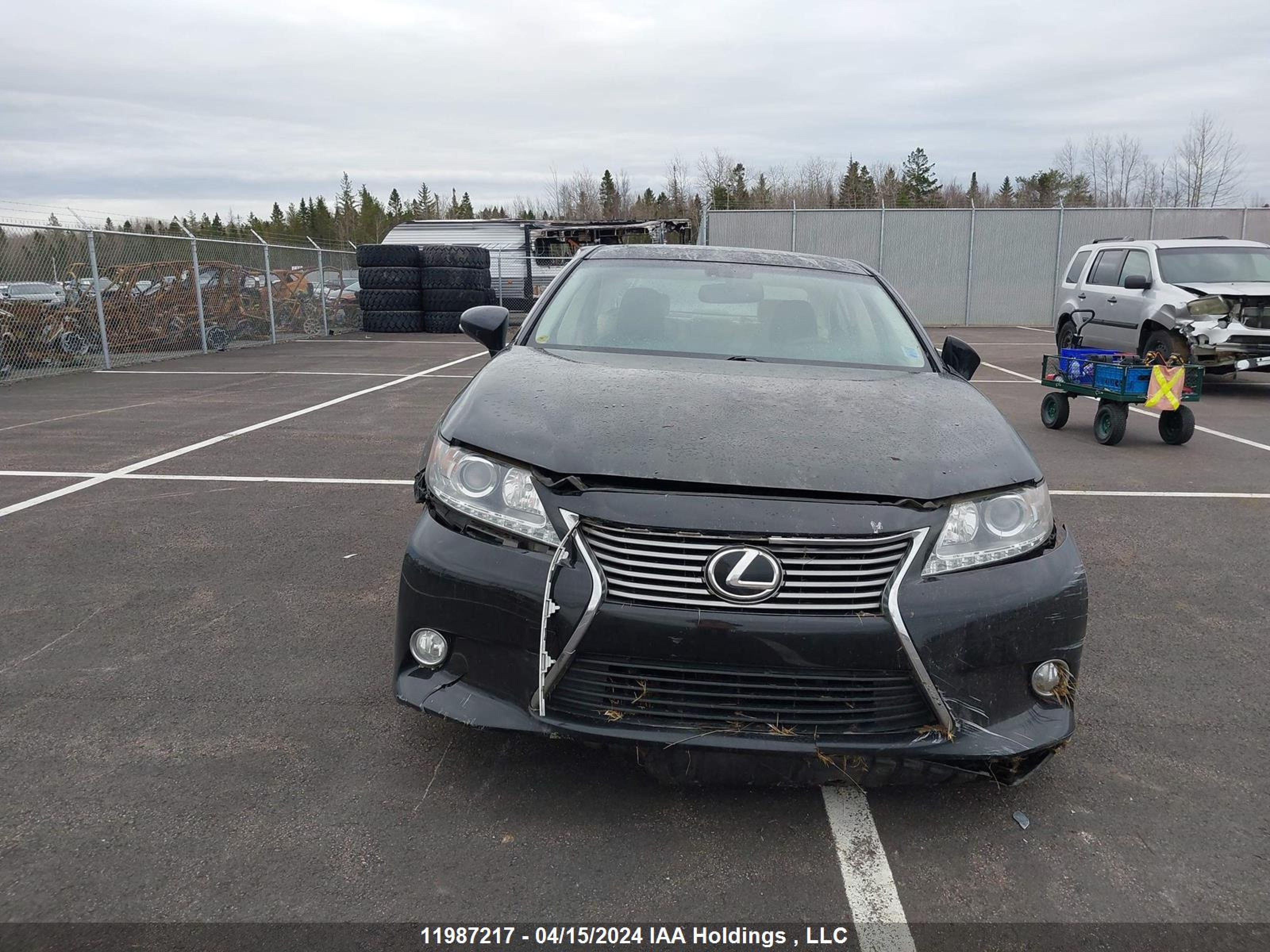 Photo 11 VIN: JTHBK1GG3D2028198 - LEXUS ES 