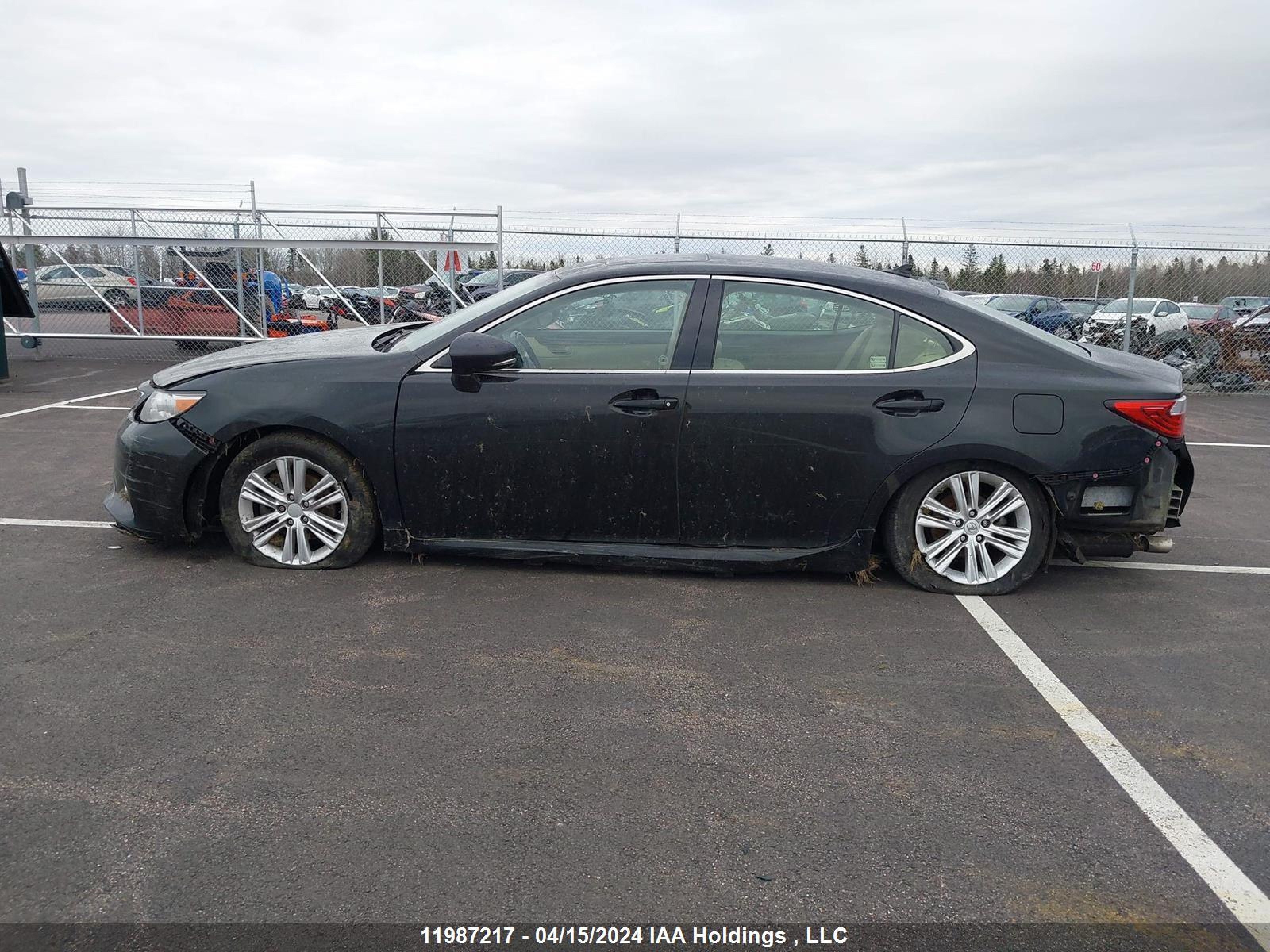 Photo 13 VIN: JTHBK1GG3D2028198 - LEXUS ES 