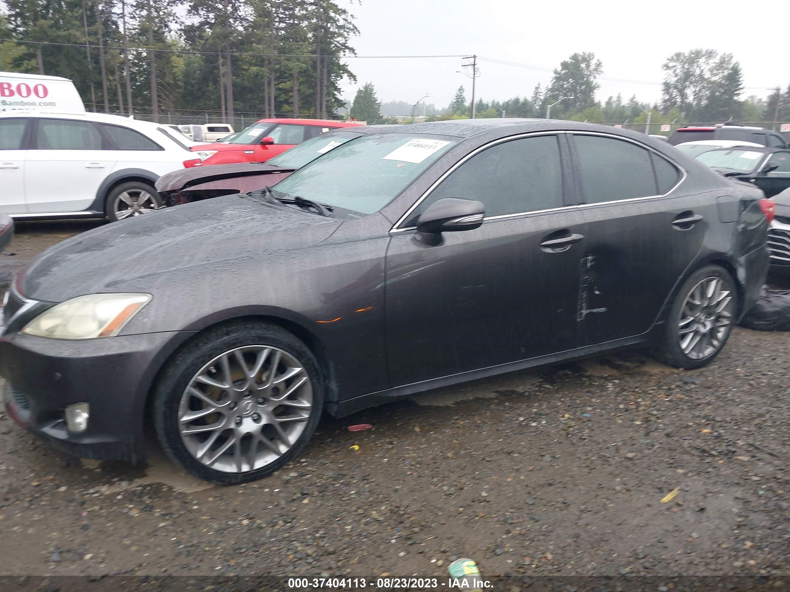 Photo 13 VIN: JTHBK262892093969 - LEXUS IS 