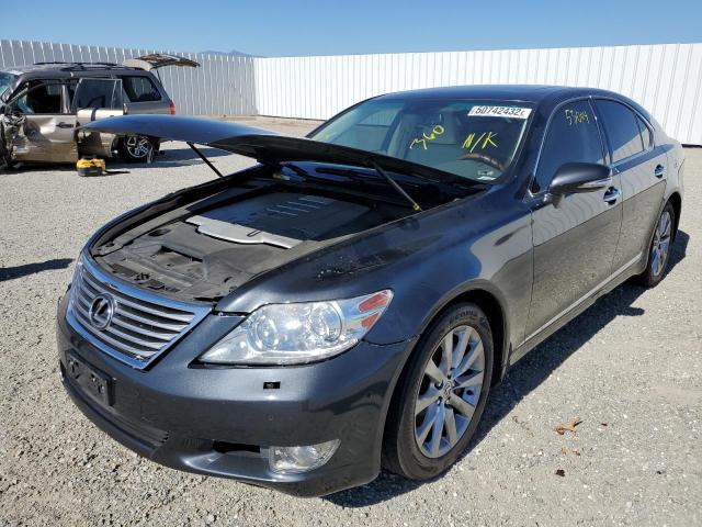 Photo 1 VIN: JTHBL1EF9A5098306 - LEXUS LS 460 