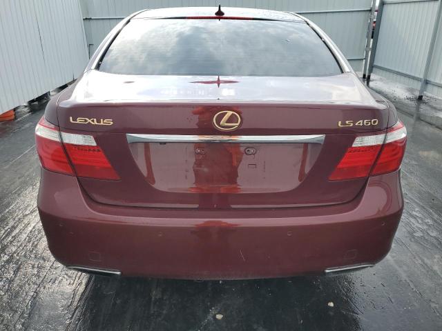 Photo 5 VIN: JTHBL46F075012566 - LEXUS LS460 