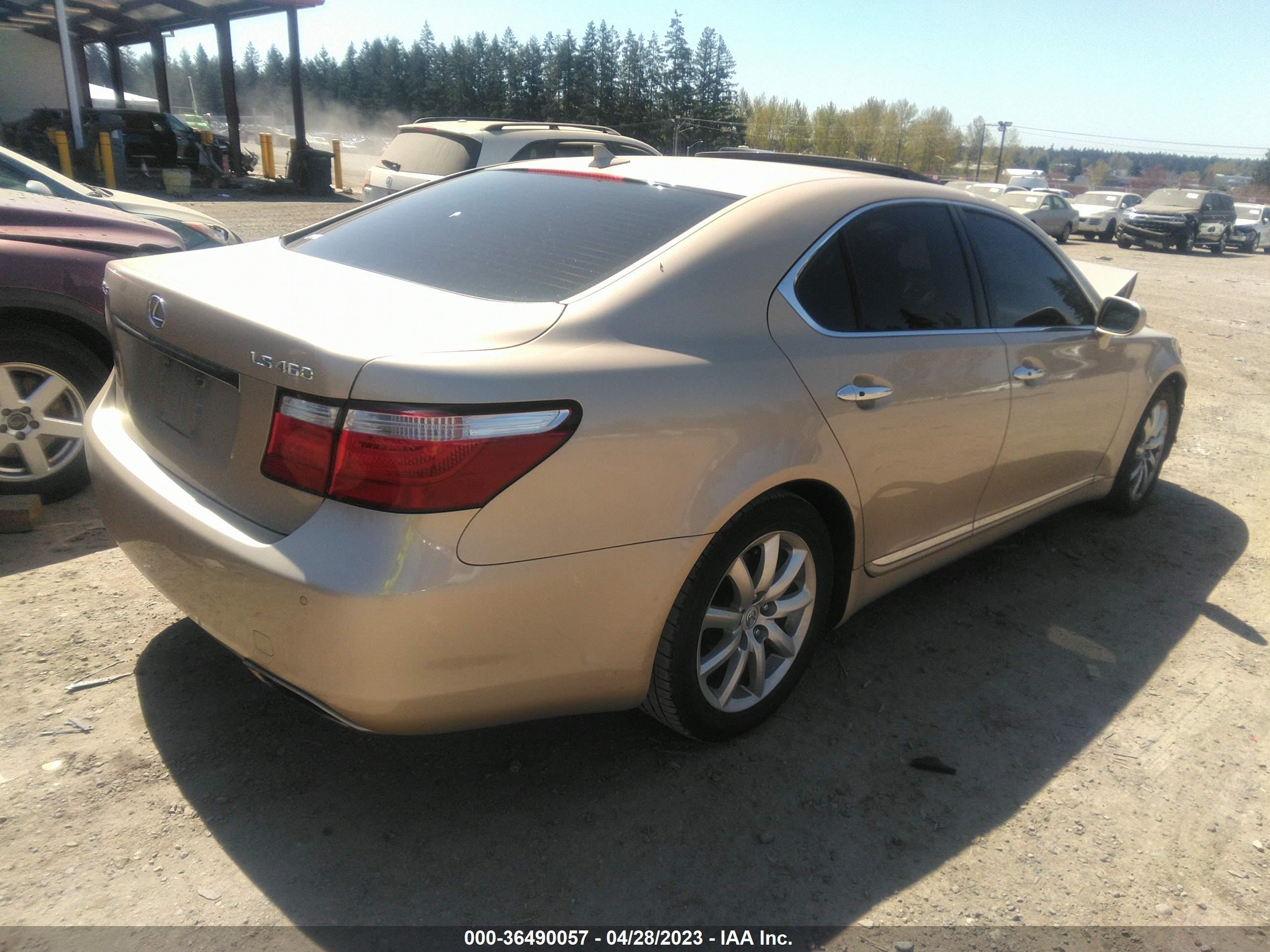 Photo 4 VIN: JTHBL46F075026595 - LEXUS LS 