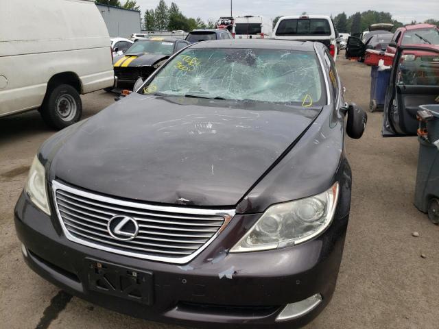 Photo 8 VIN: JTHBL46F085070632 - LEXUS LS 460 