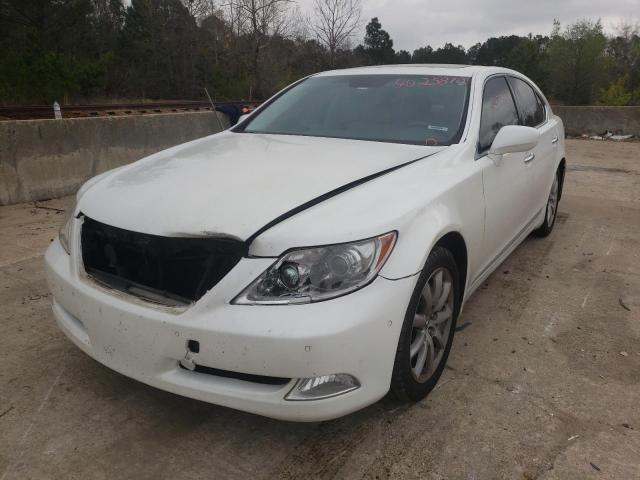 Photo 1 VIN: JTHBL46F095088341 - LEXUS LS 460 