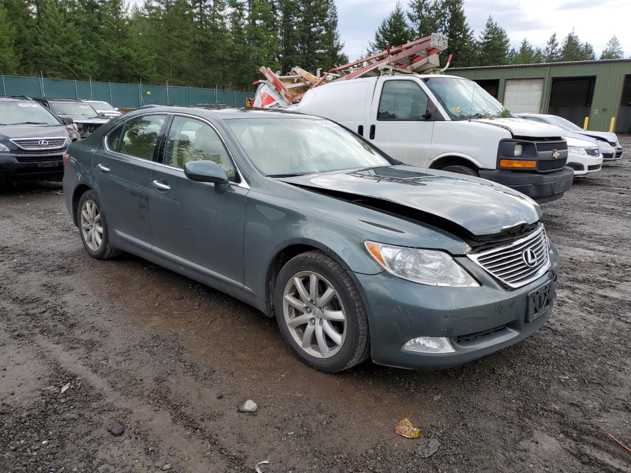 Photo 3 VIN: JTHBL46F185063141 - LEXUS LS 