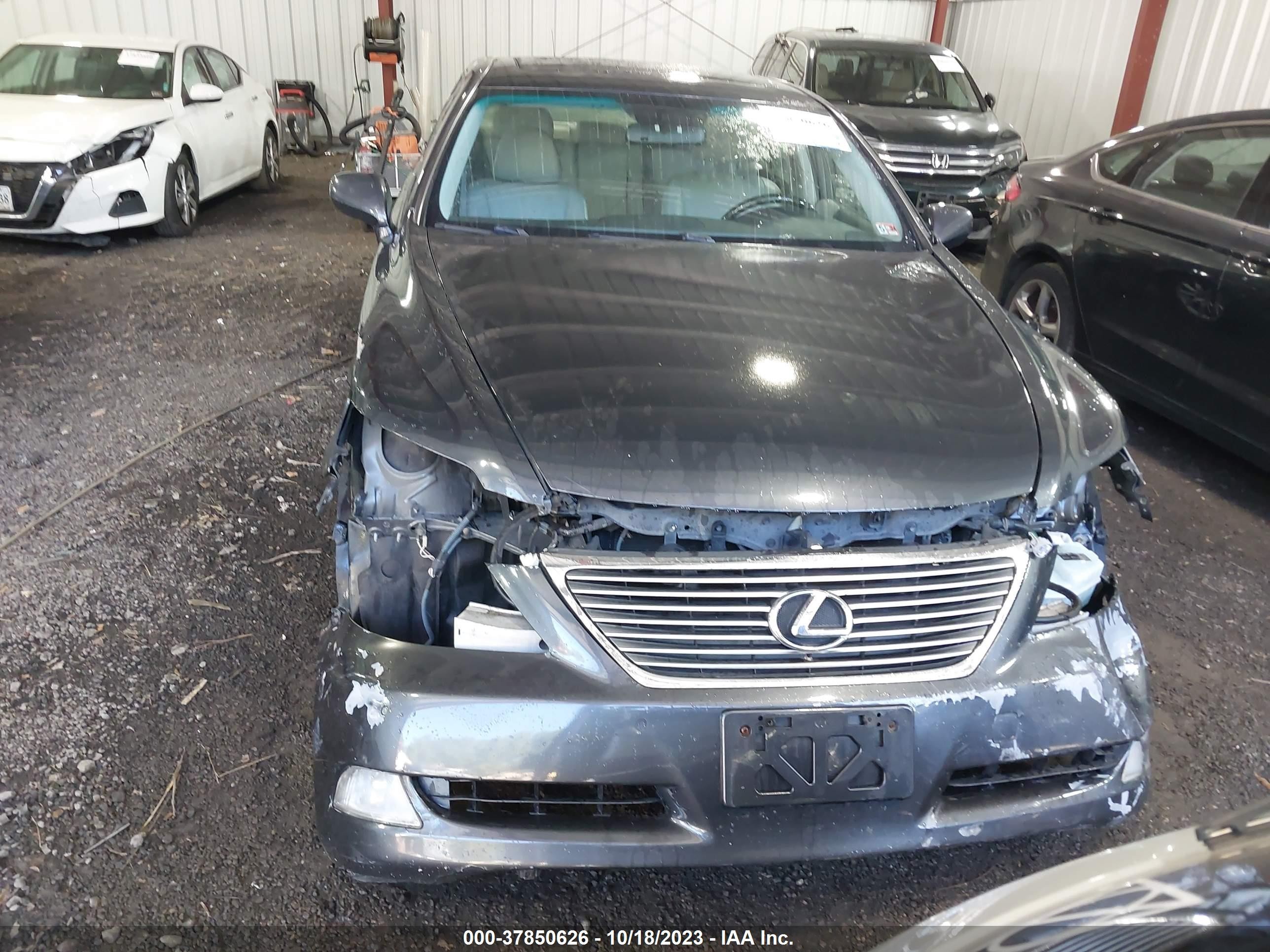 Photo 11 VIN: JTHBL46F185084121 - LEXUS LS 