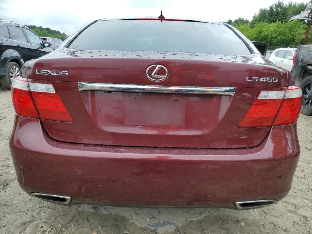 Photo 5 VIN: JTHBL46F285079087 - LEXUS LS 460 