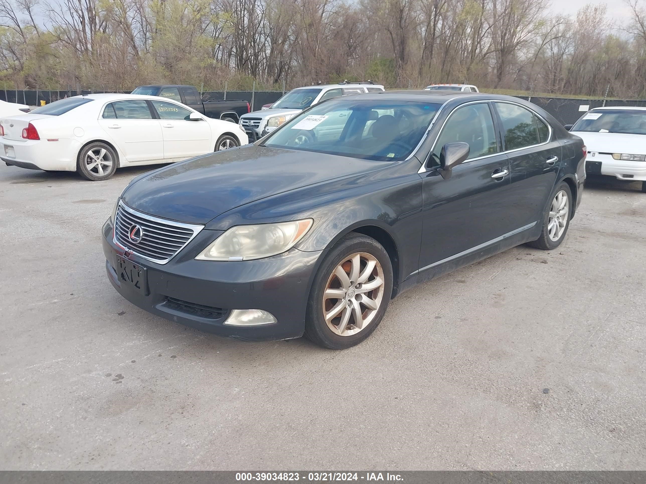 Photo 1 VIN: JTHBL46F375001030 - LEXUS LS 