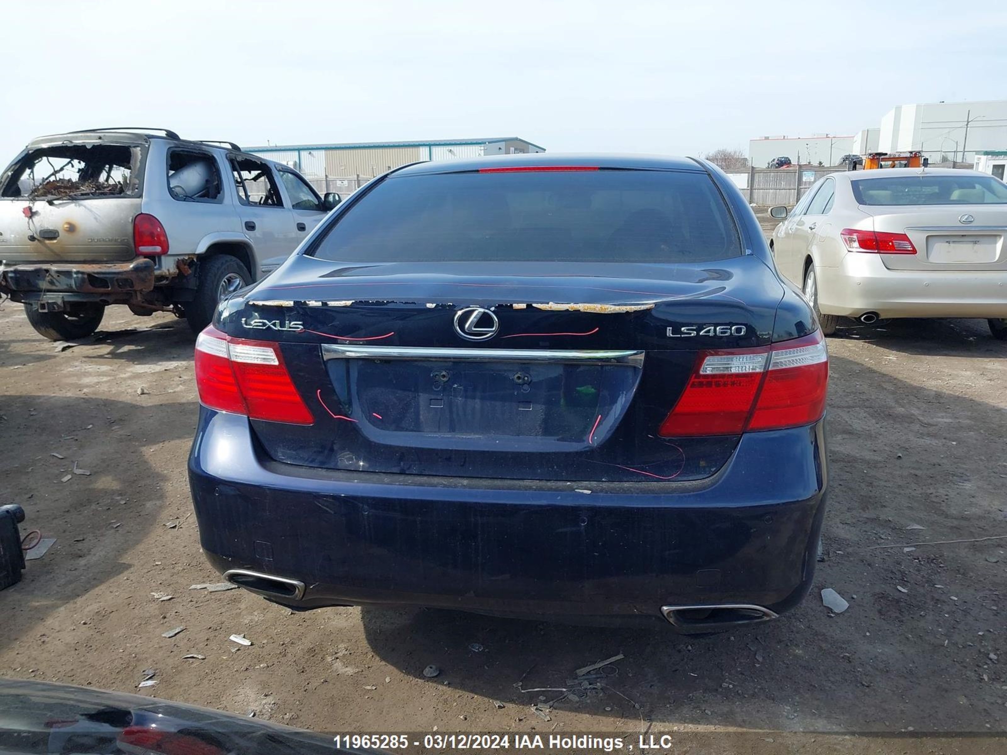 Photo 15 VIN: JTHBL46F375030172 - LEXUS LS 