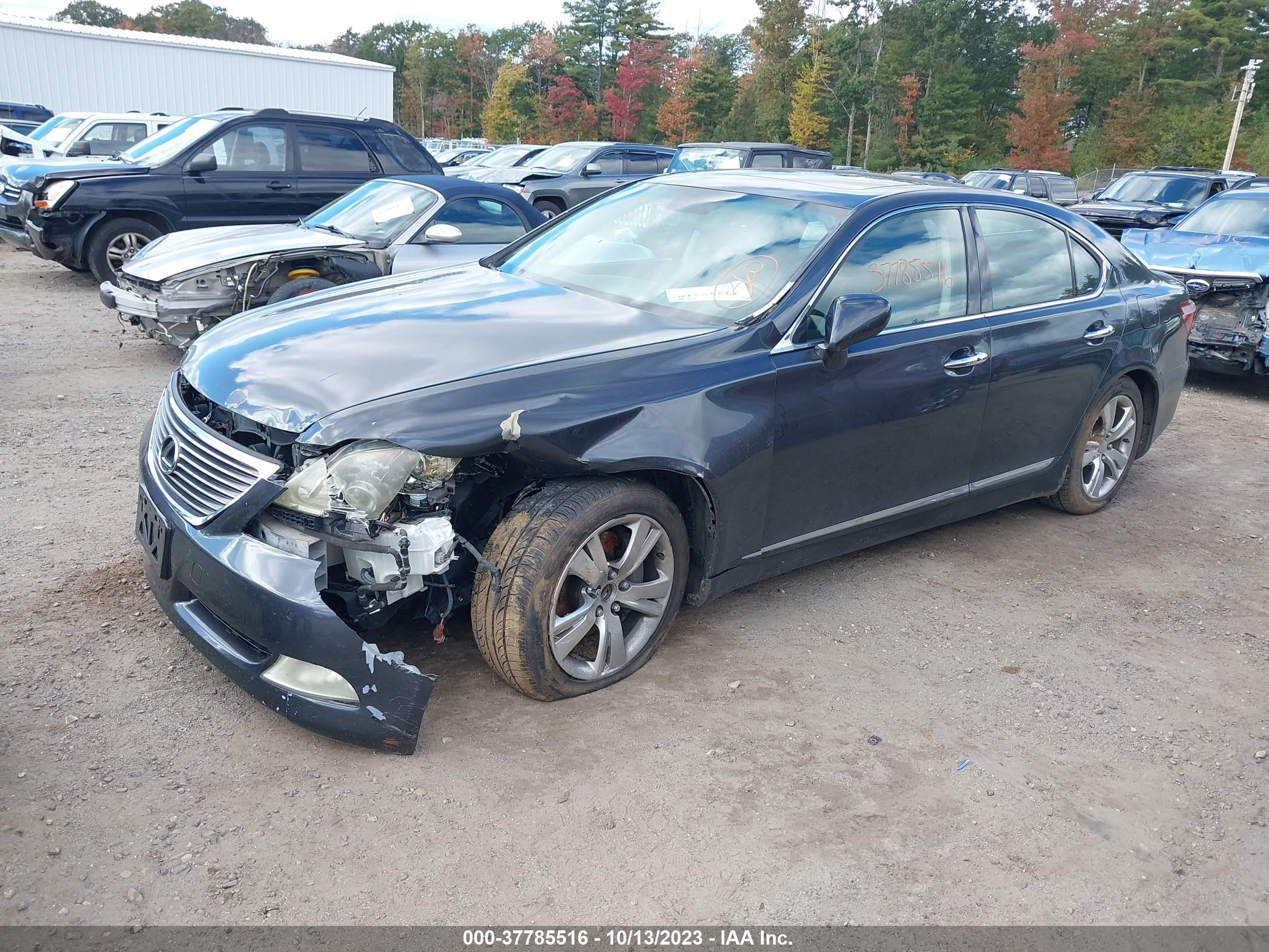 Photo 1 VIN: JTHBL46F375033864 - LEXUS LS 