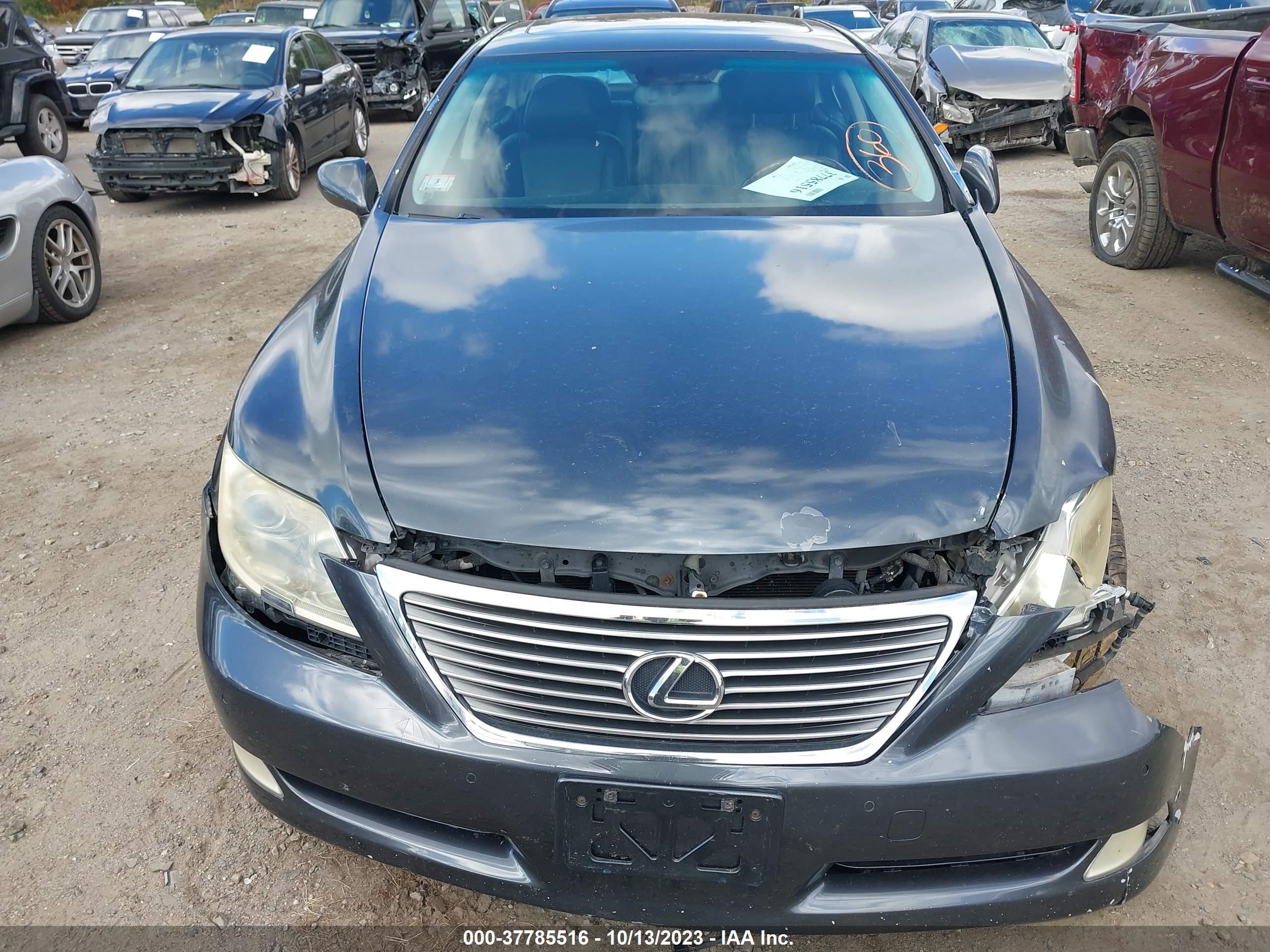 Photo 11 VIN: JTHBL46F375033864 - LEXUS LS 