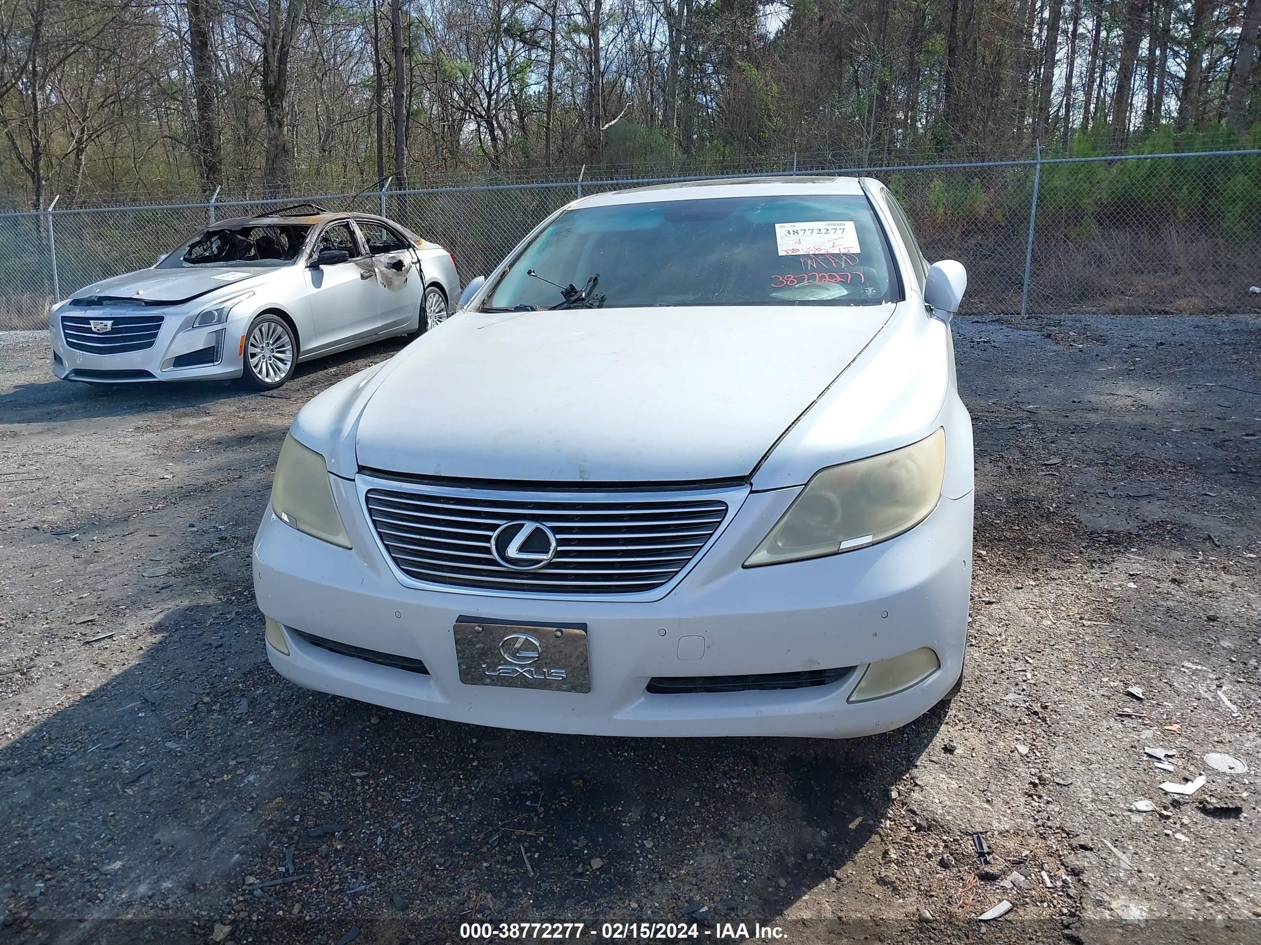 Photo 5 VIN: JTHBL46F385053162 - LEXUS LS 