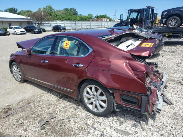 Photo 1 VIN: JTHBL46F385057129 - LEXUS LS460 