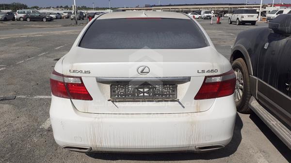 Photo 5 VIN: JTHBL46F385066249 - LEXUS LS 460 