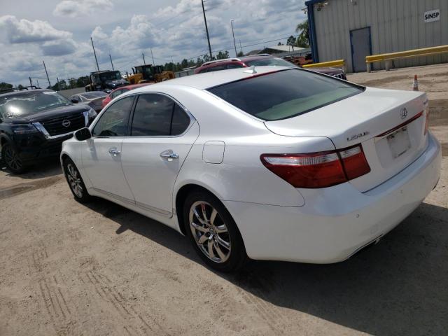 Photo 1 VIN: JTHBL46F385077381 - LEXUS LS 460 