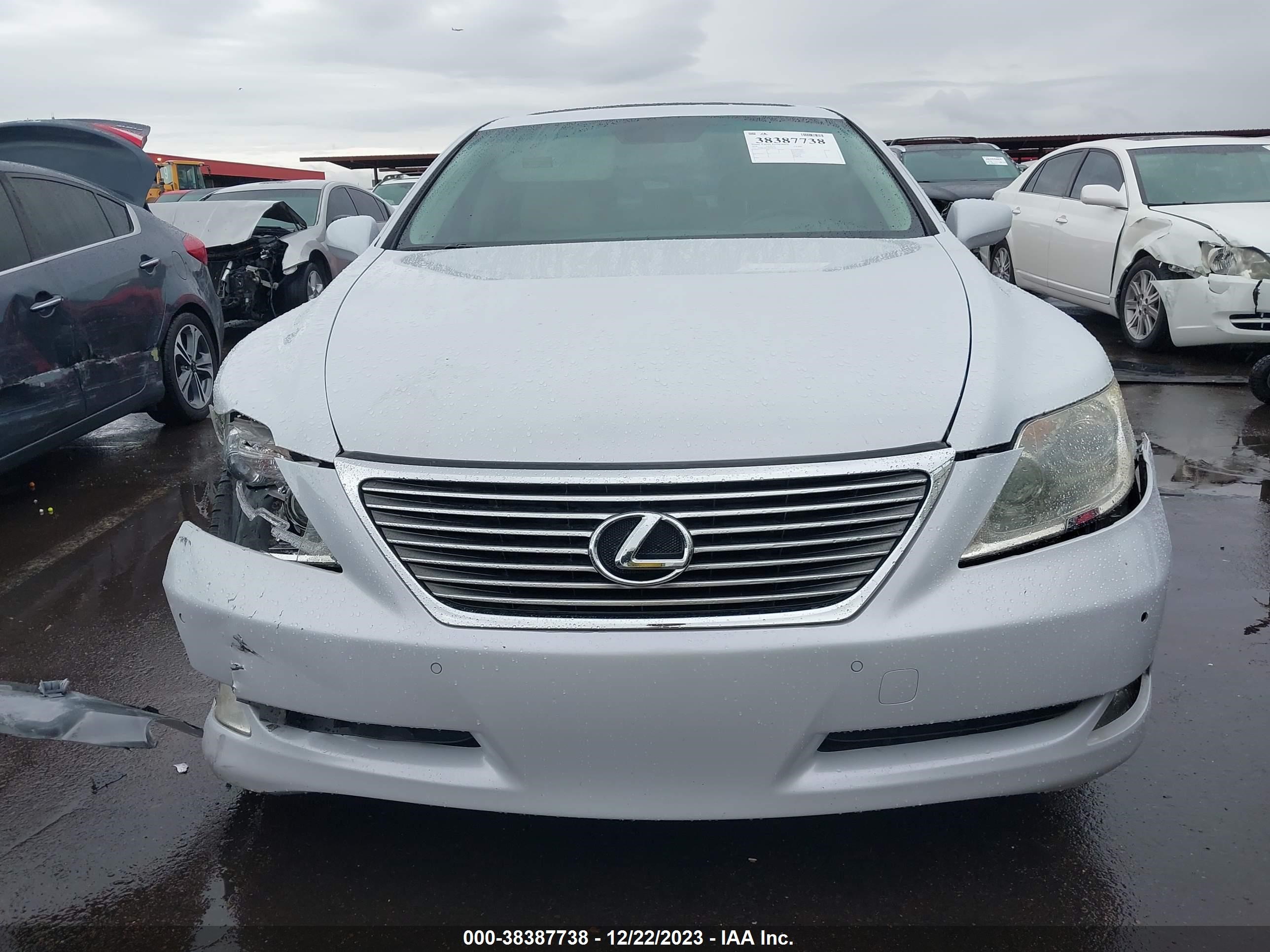 Photo 11 VIN: JTHBL46F485058290 - LEXUS LS 