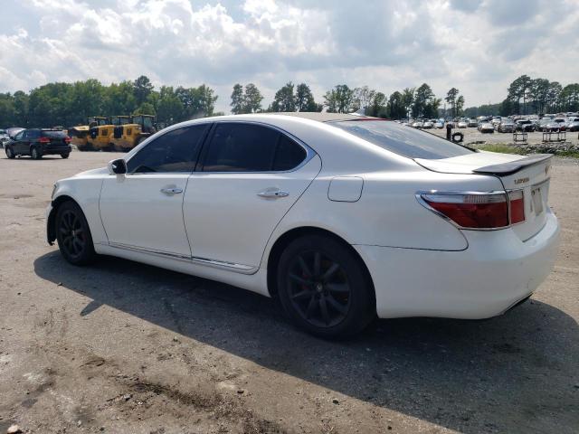 Photo 1 VIN: JTHBL46F585062526 - LEXUS LS460 