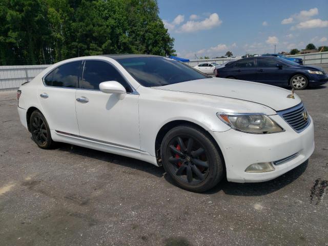 Photo 3 VIN: JTHBL46F585062526 - LEXUS LS460 