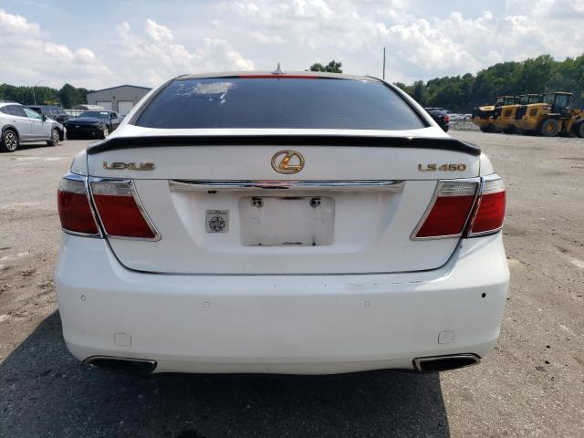 Photo 5 VIN: JTHBL46F585062526 - LEXUS LS460 