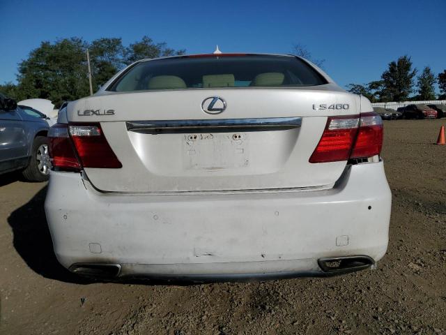 Photo 5 VIN: JTHBL46F585080671 - LEXUS LS 460 