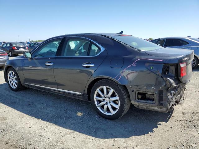 Photo 1 VIN: JTHBL46F595091106 - LEXUS LS460 