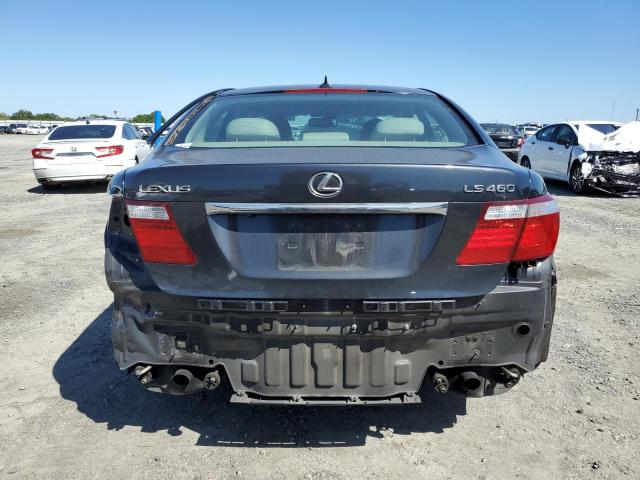 Photo 5 VIN: JTHBL46F595091106 - LEXUS LS460 