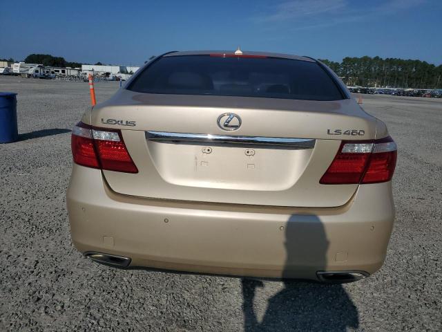 Photo 5 VIN: JTHBL46F685061806 - LEXUS LS 460 