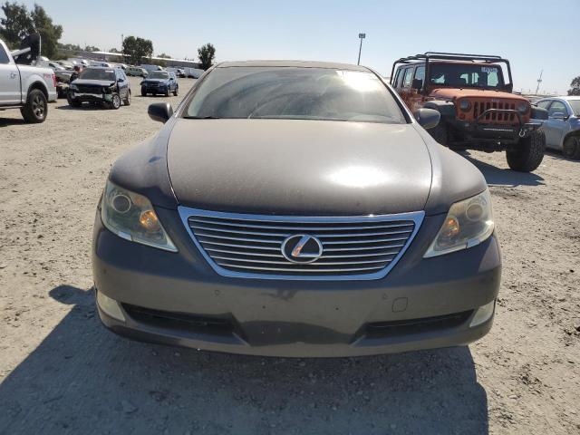 Photo 4 VIN: JTHBL46F685063832 - LEXUS LS 460 