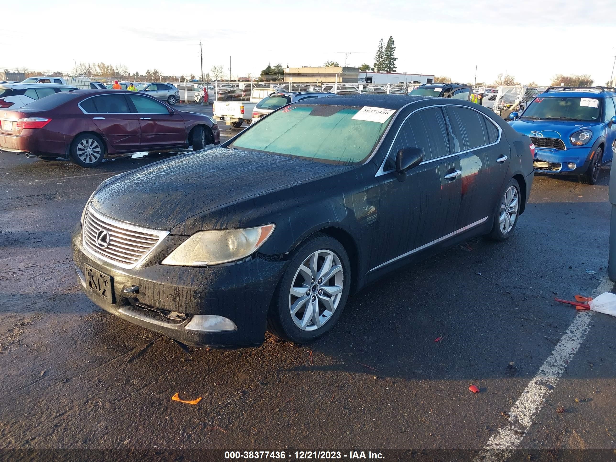 Photo 1 VIN: JTHBL46F685081750 - LEXUS LS 