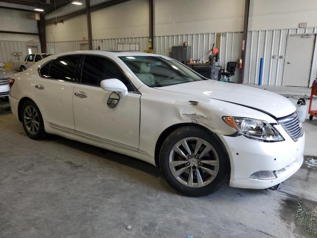 Photo 3 VIN: JTHBL46F895084571 - LEXUS LS460 