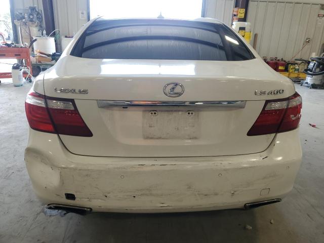 Photo 5 VIN: JTHBL46F895084571 - LEXUS LS460 