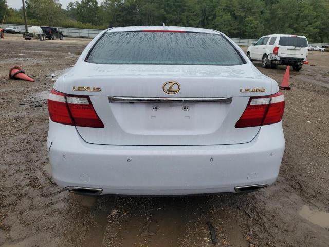 Photo 5 VIN: JTHBL46F985075022 - LEXUS LS 460 