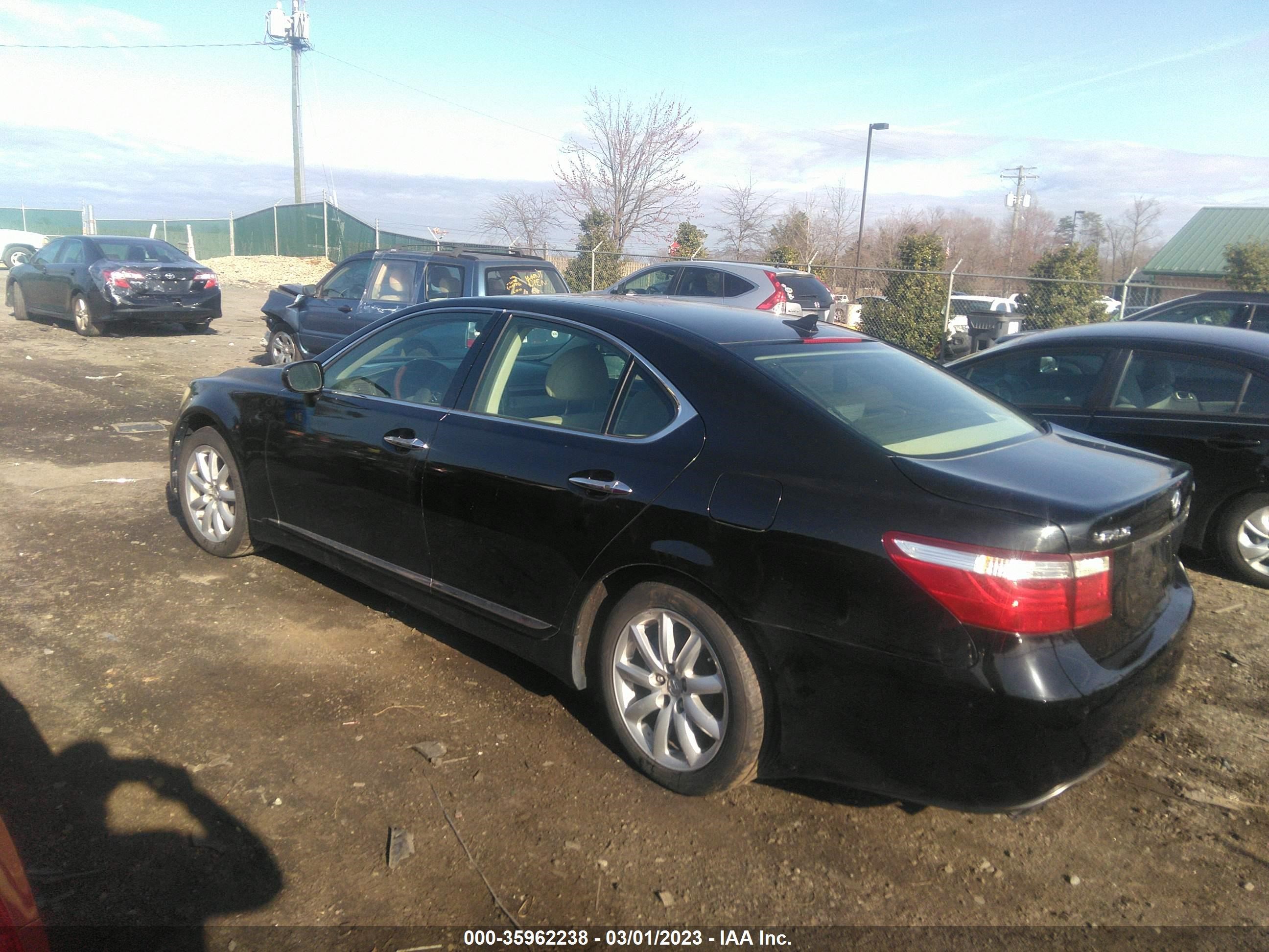 Photo 2 VIN: JTHBL46FX85054244 - LEXUS LS 