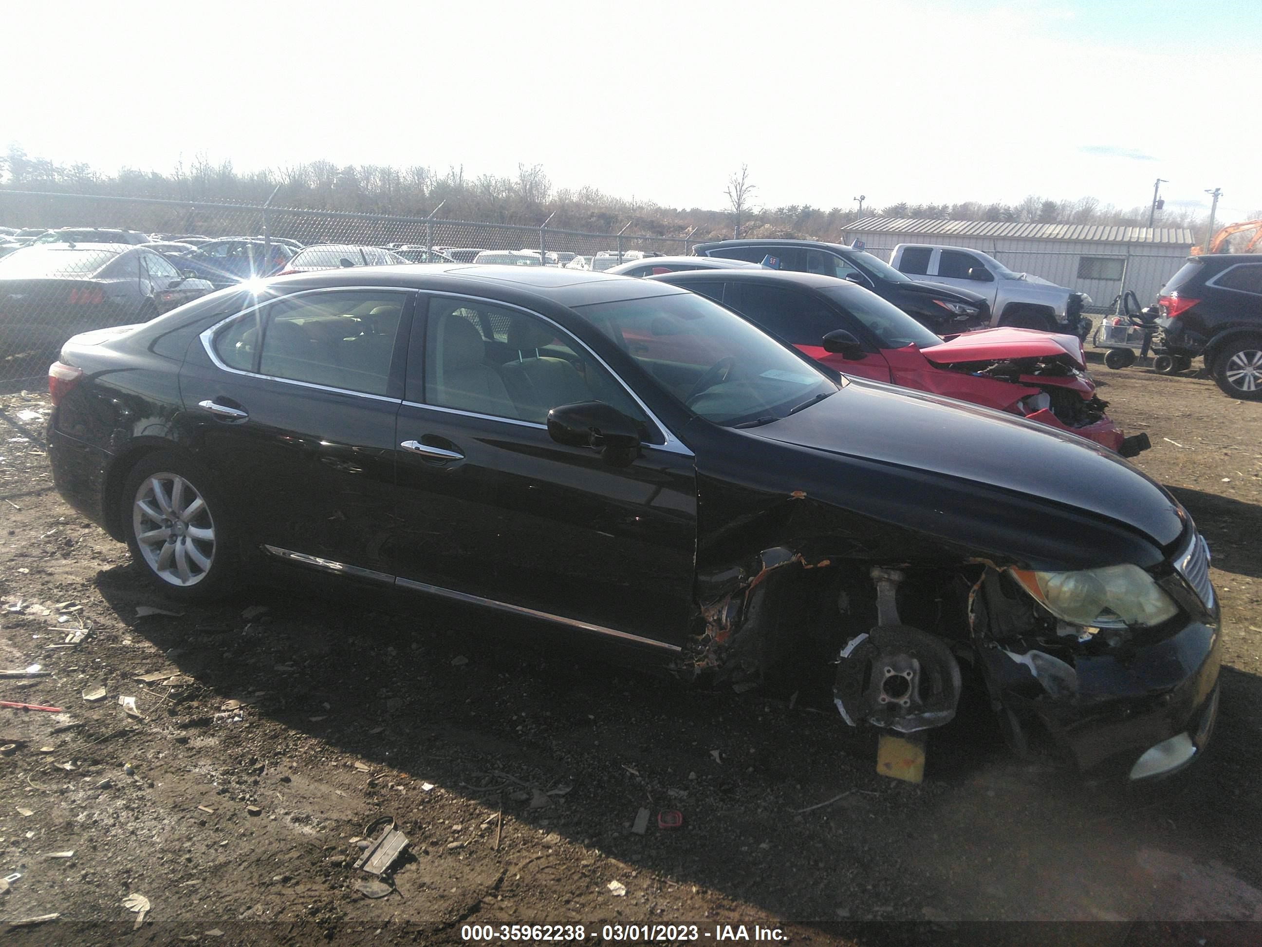 Photo 5 VIN: JTHBL46FX85054244 - LEXUS LS 