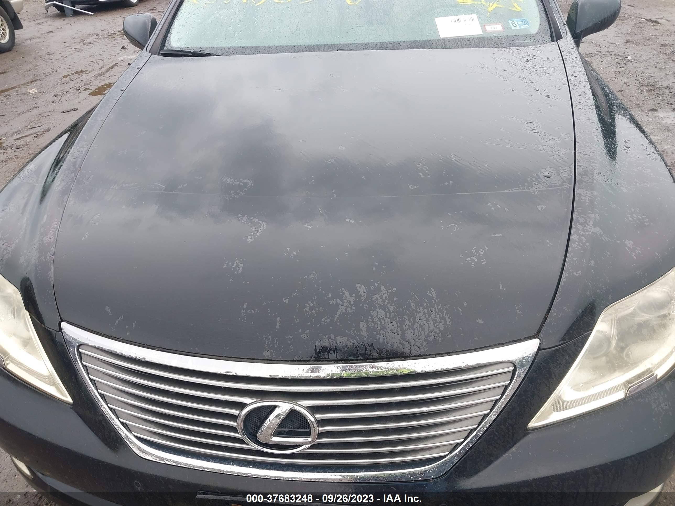 Photo 9 VIN: JTHBL46FX85059279 - LEXUS LS 