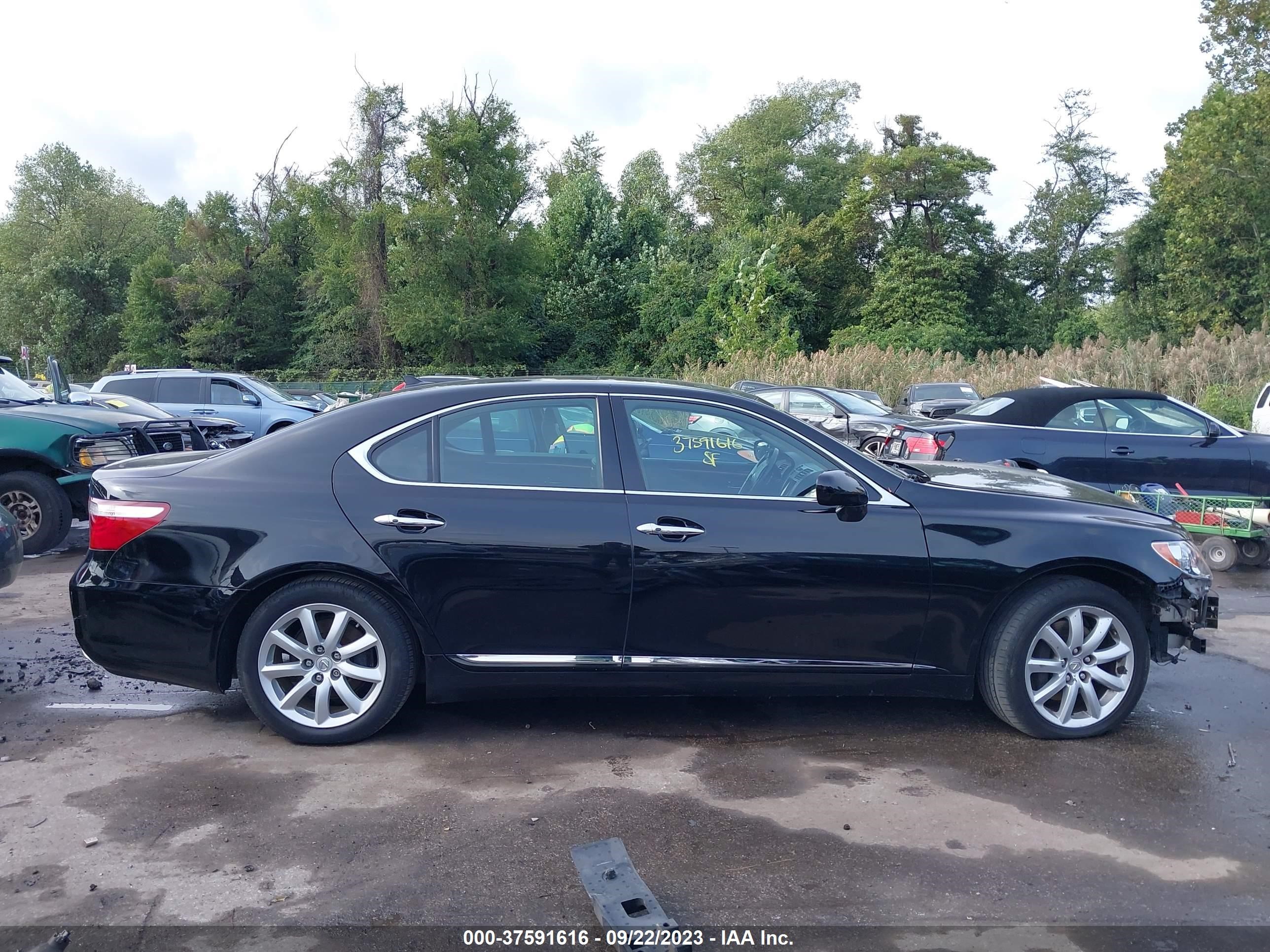 Photo 13 VIN: JTHBL46FX85080245 - LEXUS LS 